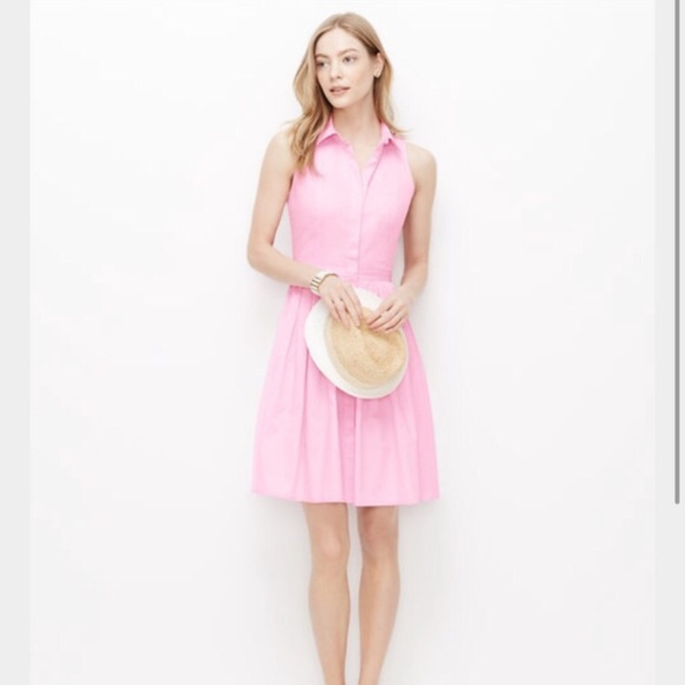 Ann Taylor Petite Sleeveless Shirtsdress